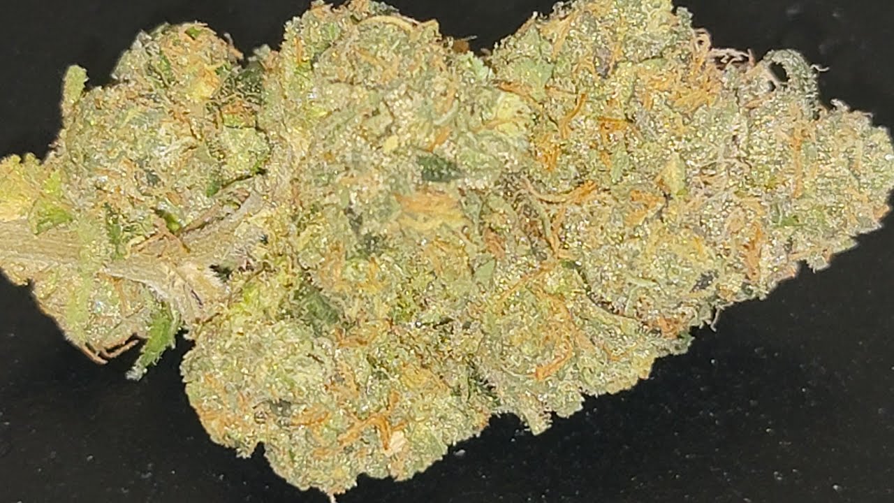 SHERBLATO- (Sherbert &times; Gelato) :)