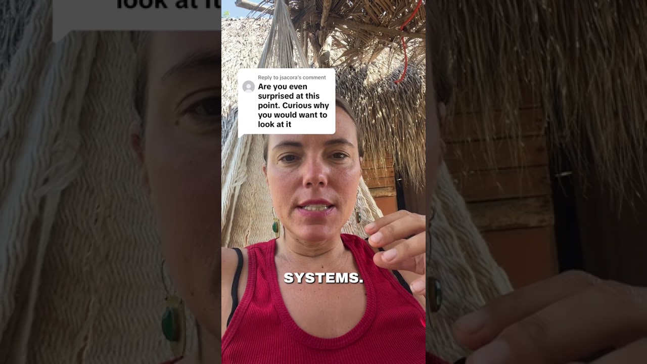 Why look at the Epstein files?