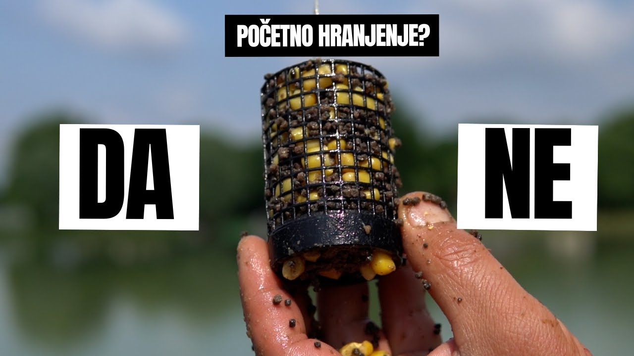 Početno Hranjenje u Method Feeder Ribolovu: Da li je uvek neophodno?