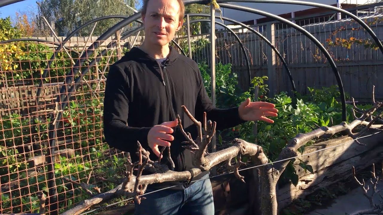 Transitioning to grow what you eat [Show Me How 7]