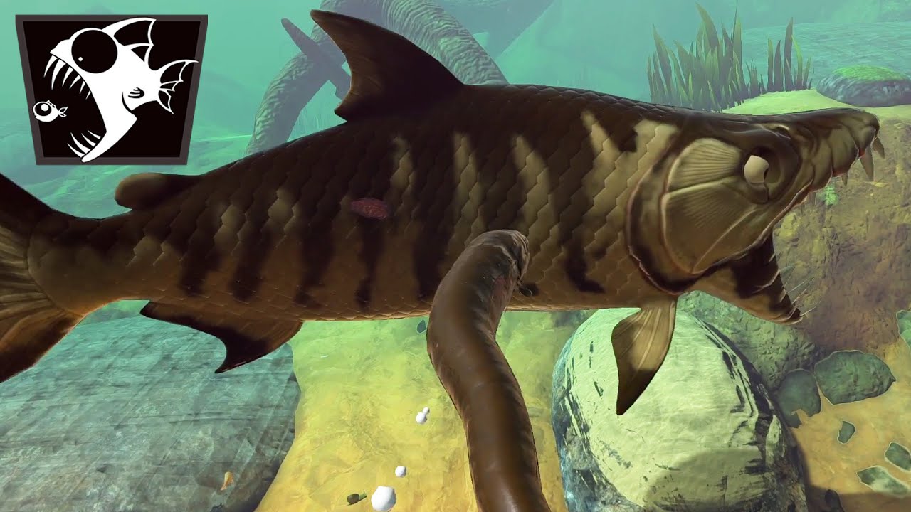 ANGUILLE ÉLECTRIQUE VS POISSON TIGRE ! (Feed and Grow #86)