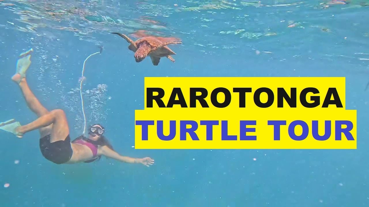 Rarotonga Turtle Tour, Cook Island 🇨🇰 