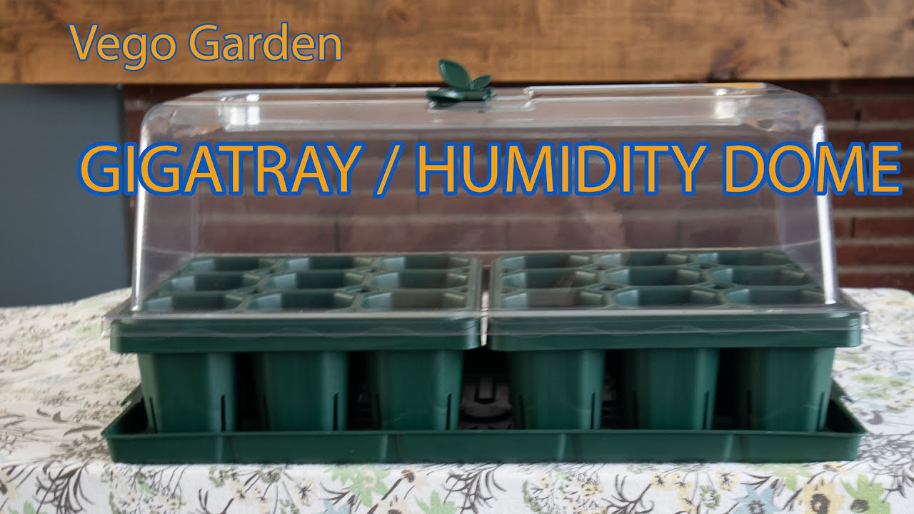 Vego Garden Giga Seedling Tray / Humidity Dome