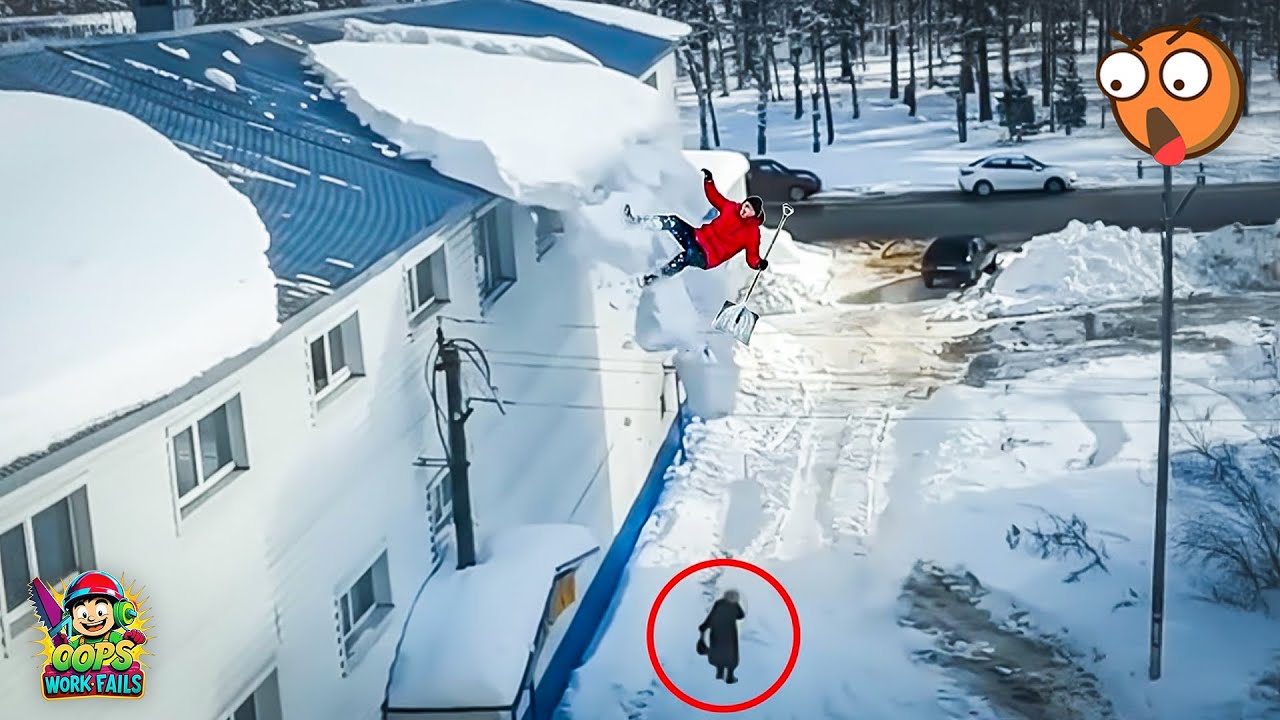 People Doing Stupid Things 😆 | TOTAL IDIOTS AT WORK #251 | Instant Regret Fails Compilation 2026