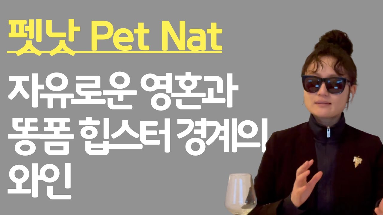 #펫낫 #내추럴와인 프랑스 현지에서 전하는 펫낫 와인의 실체/ 와인업계 세대 교체의 상징이 된 펫낫 #프랑스소믈리에