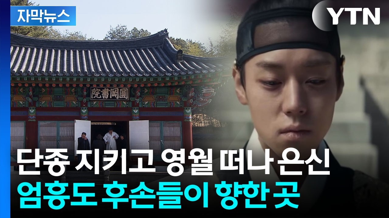 [자막뉴스] 