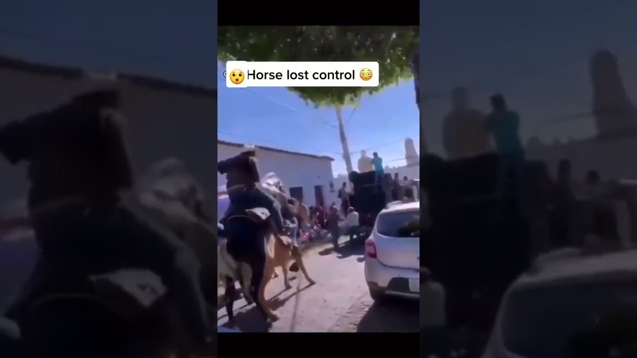 😍😍horse lost control 🤣🤣 #horselover #shortsvideo