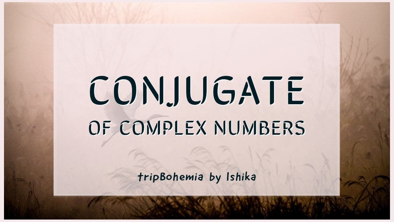 Conjugate of Complex Numbers L1.2 | Complex Analysis | CSIR/ UGC NET, GATE, IIT JAM, UPSC Optional |