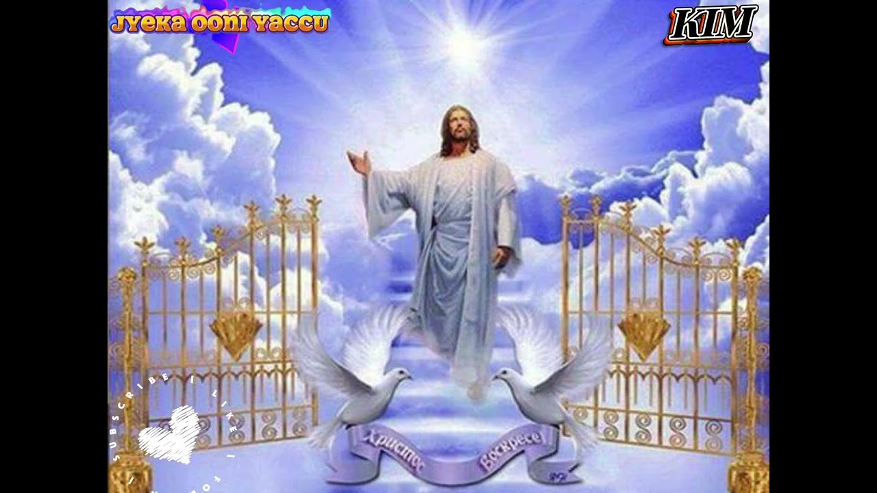 Jyeka ooni yaccu 