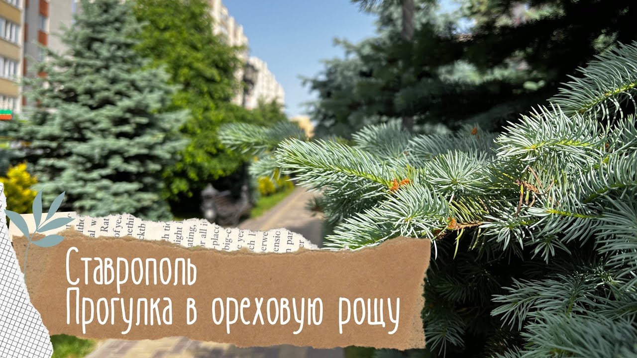 Ставрополь. Юго-западный район. 🏢Прогулка из Перспективного в Ореховую рощу🌳
