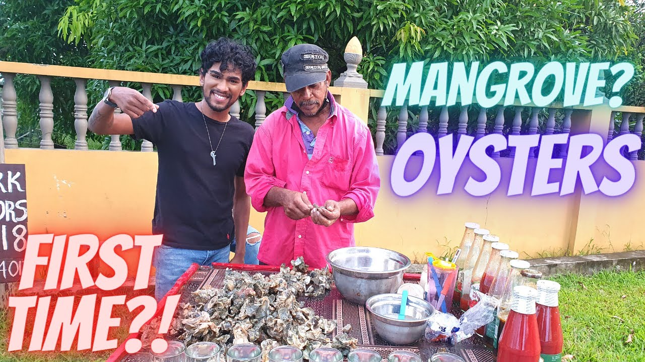 Oysters | Trinidad Oysters | Trinidad Street Food
