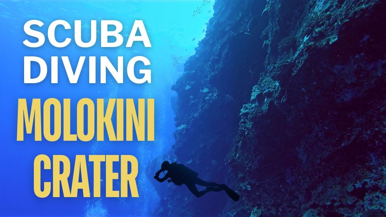 Scuba diving at Molokini Crater in Maui, Hawaii