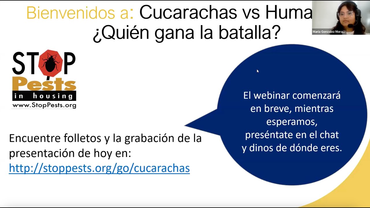 Cucarachas vs Humanos: ¿Quién gana la batalla?