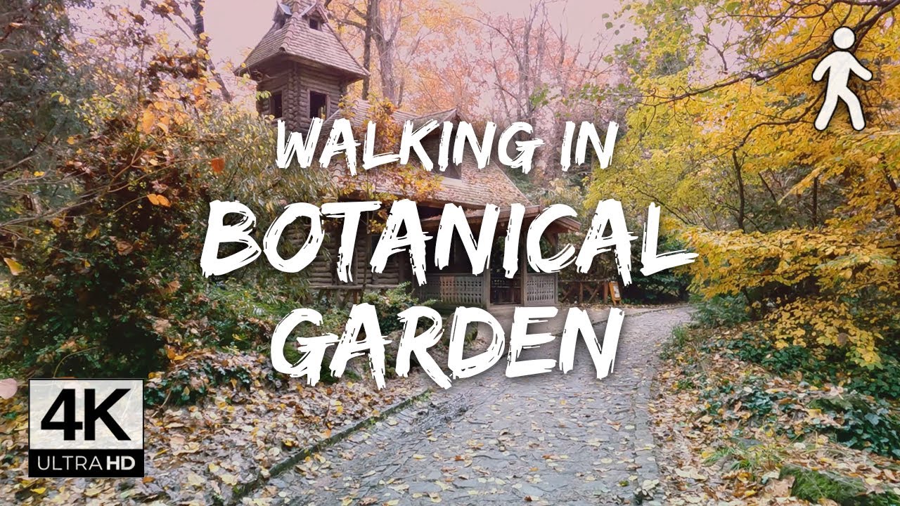 ⁴ᴷ⁶⁰ Botanical Garden Walking Tour  - Vacratot - 2020 November