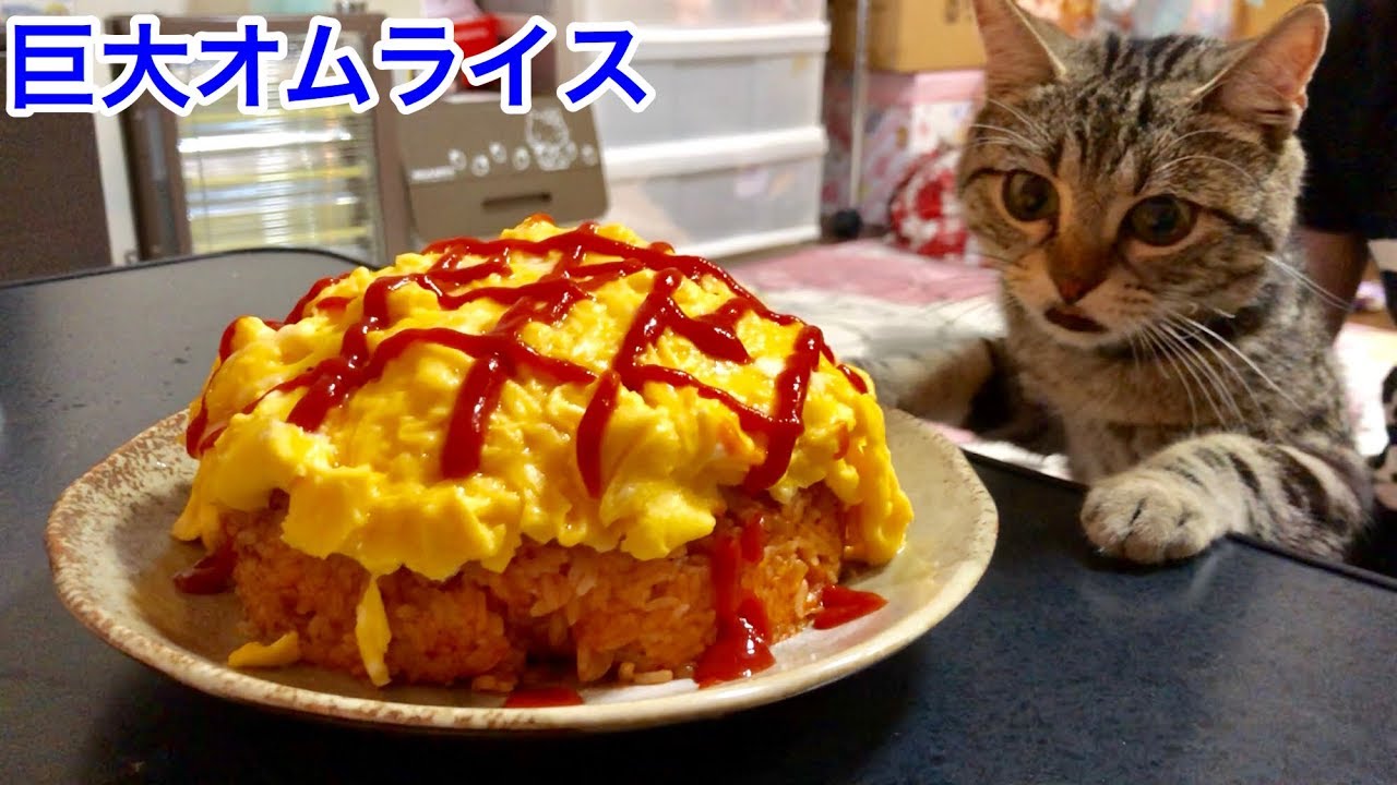 巨大オムライスの香りに負けて邪魔しに来てしまった猫ｗ