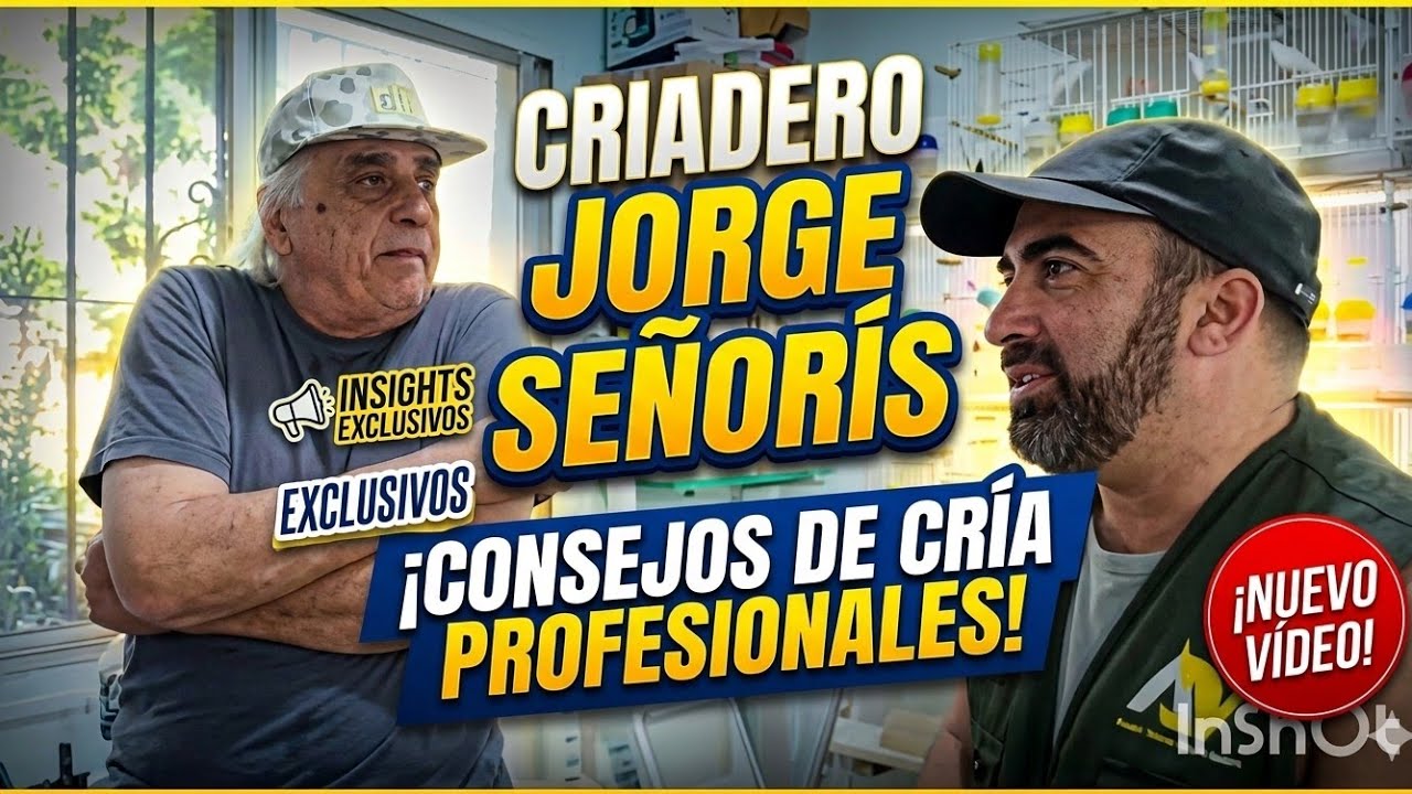 IMPERDIBLE ENTREVISTA al señor Jorge Señoris,visitamos su criadero!! Parte 1,🤝🐥🐥🐥🥇
