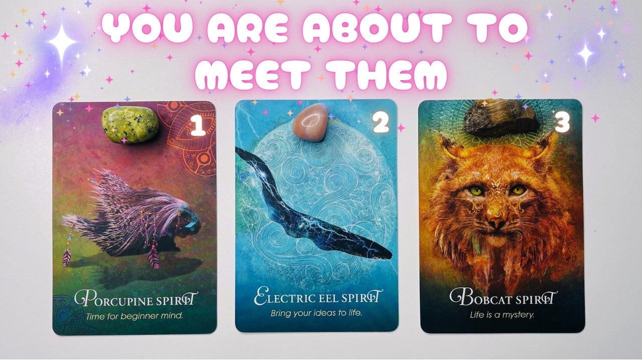 🪷 NEW CONNECTION Entering Your Life 🪷 ✨TIMELESS PICK A CARD TAROT READING✨