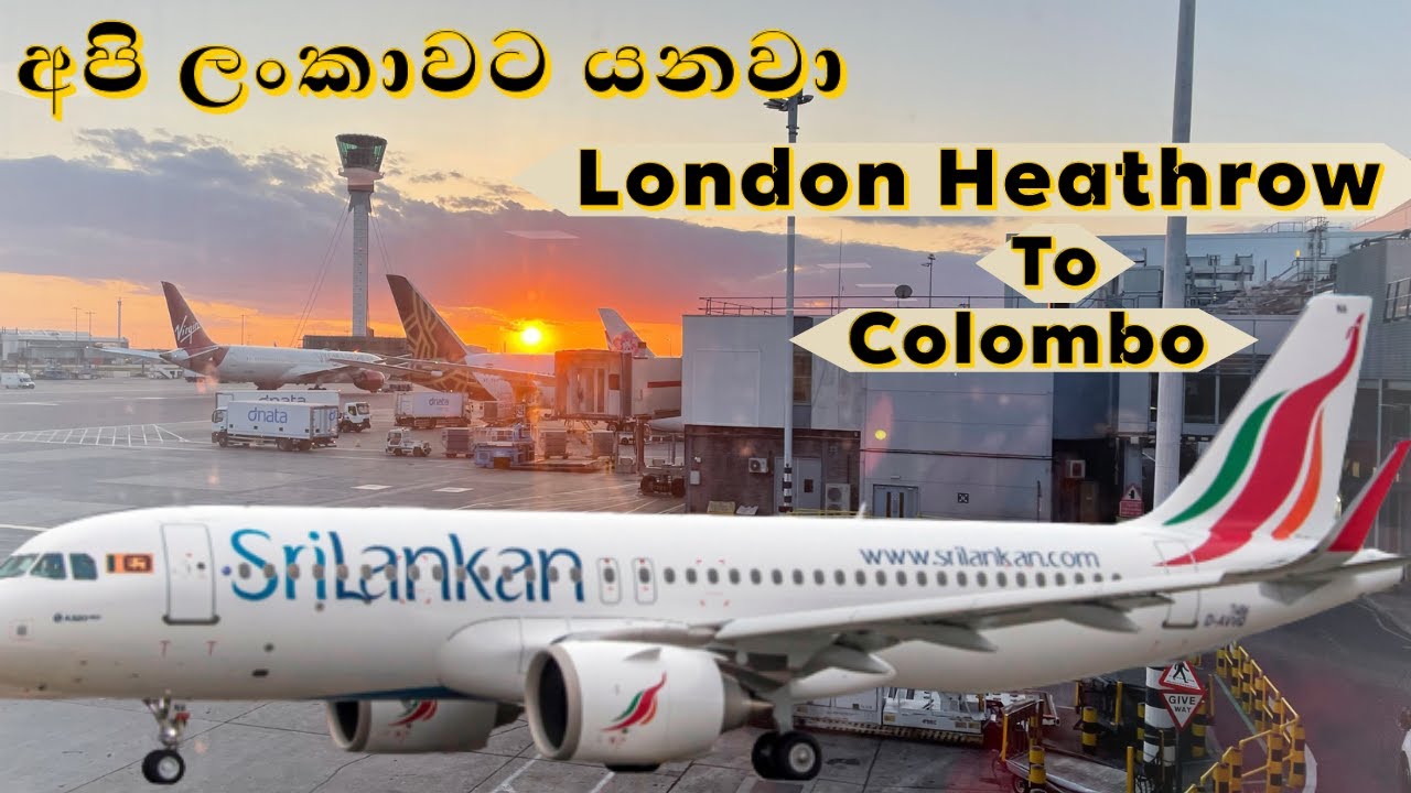Sri Lankan Airlines Direct Flight From London Heathrow To Colombo| Flight Review & Airport Guide