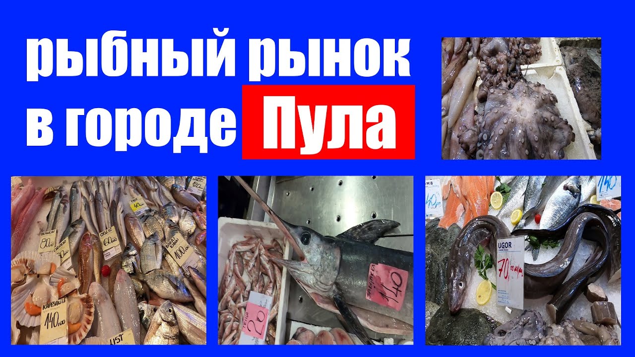 отпуск в Хорватии | поездка в город Пула на рынок за свежей рыбой