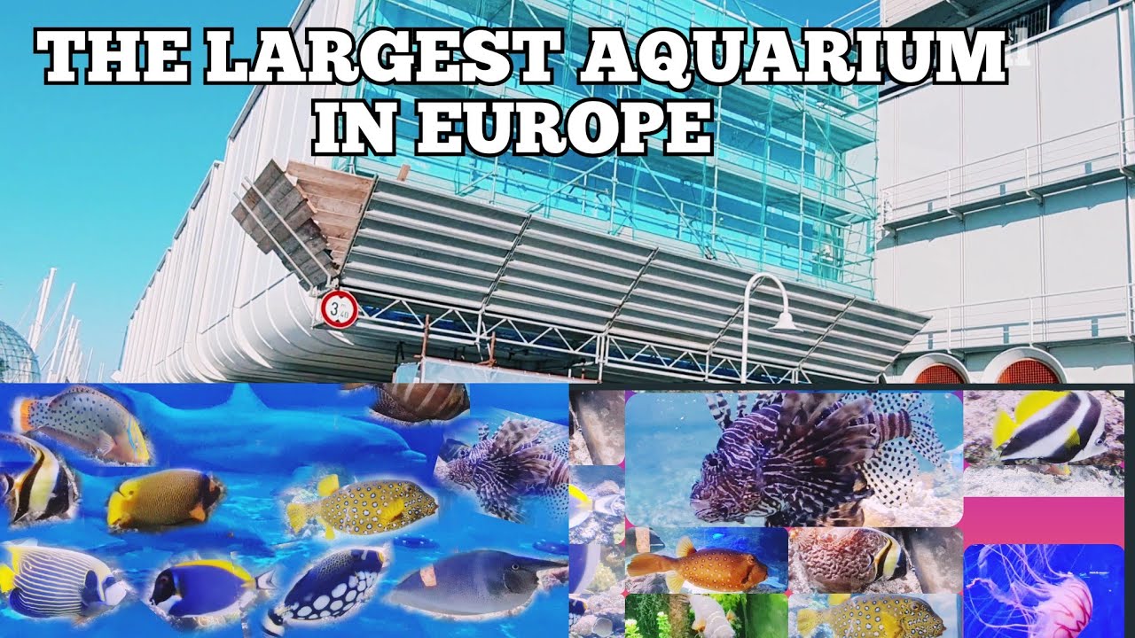 THE LARGEST AQUARIUM IN EUROPE 🇪🇺, PORTO ANTICO, GENOVA ITALY 🇮🇹