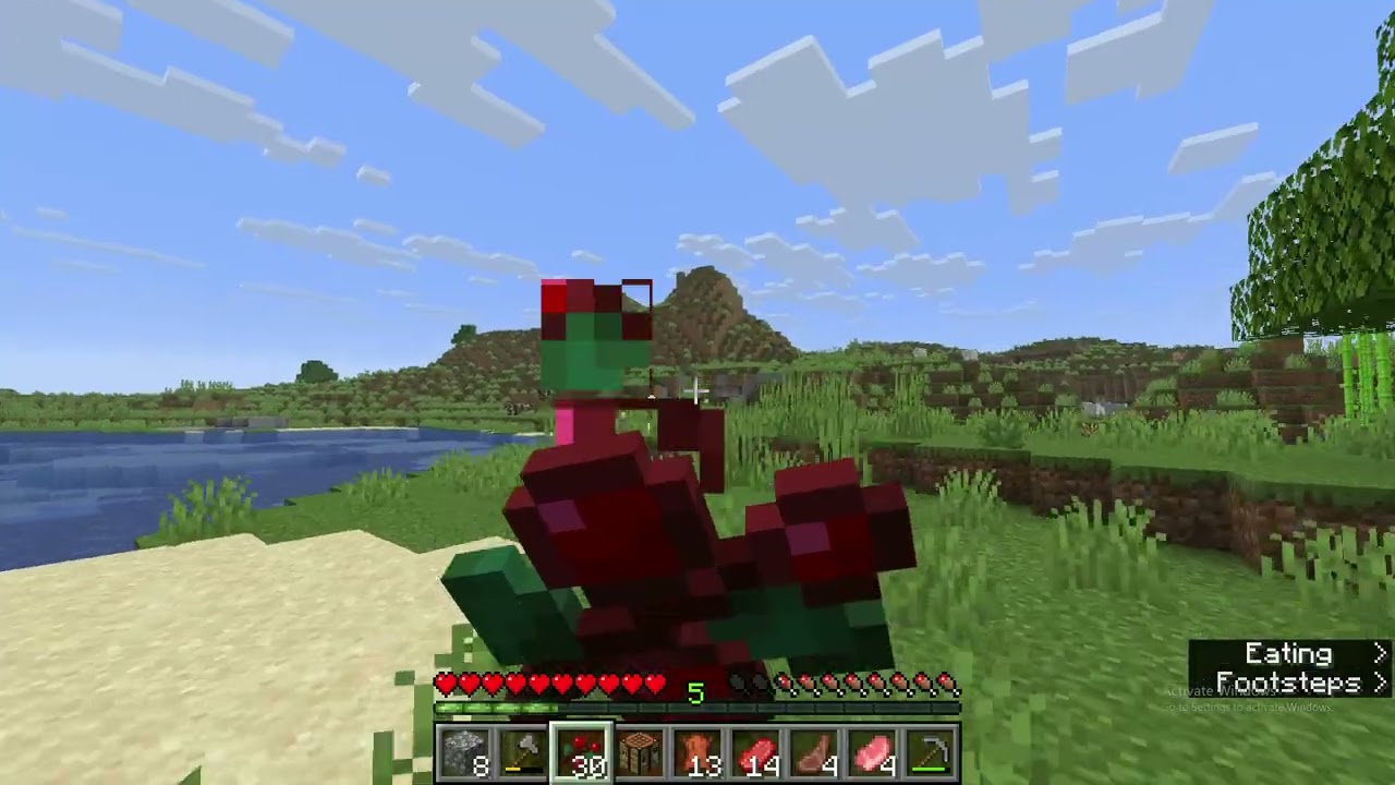 Minecraft Speedrun Attempt 1