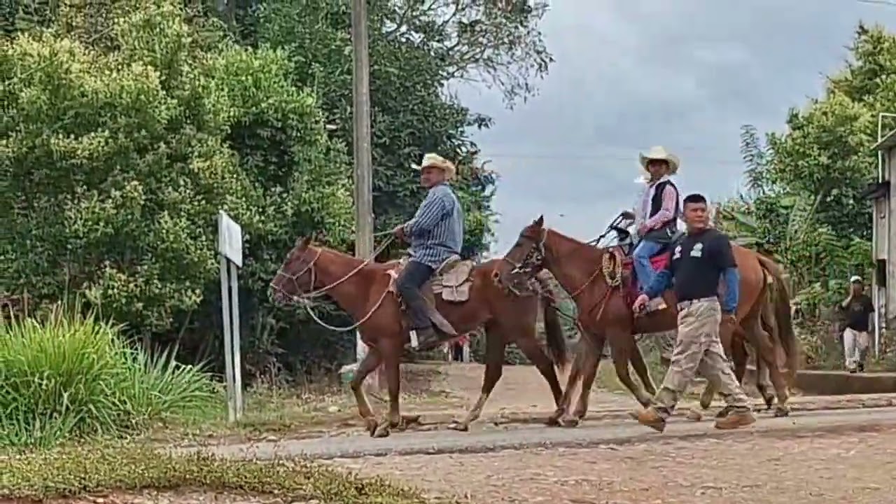 Malzaga .febrero 2026