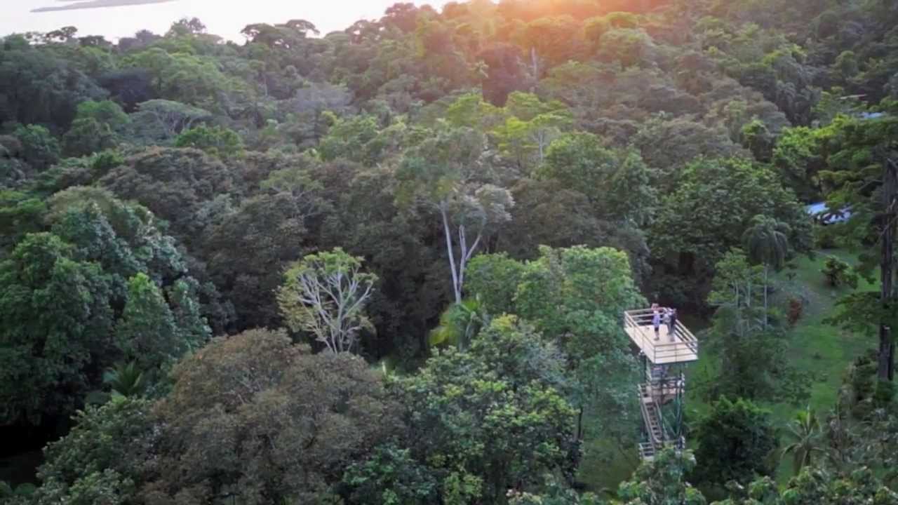 Bocas del Toro Hotel and Eco Lodge Accommodations - Tranquilo Bay