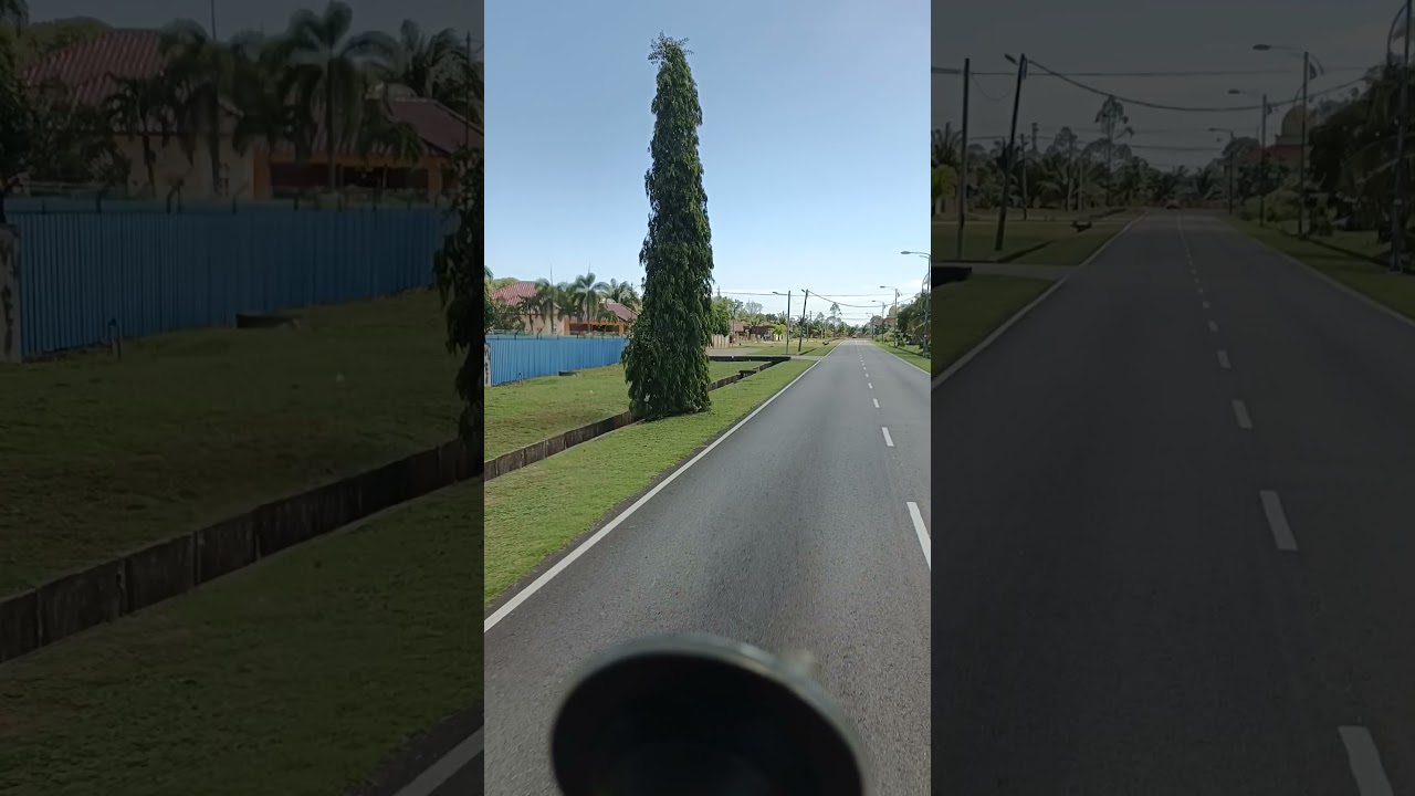 POV fl10..go back home