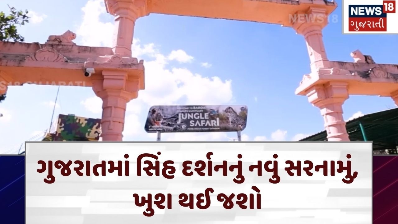 Lion Safari  | સિંહ દર્શન માટેનું નવું ઠેકાણુંબરડા ડુંગર વન્યજીવ અભ્યારણ્ય |Porbandar | Gujarat|N18V