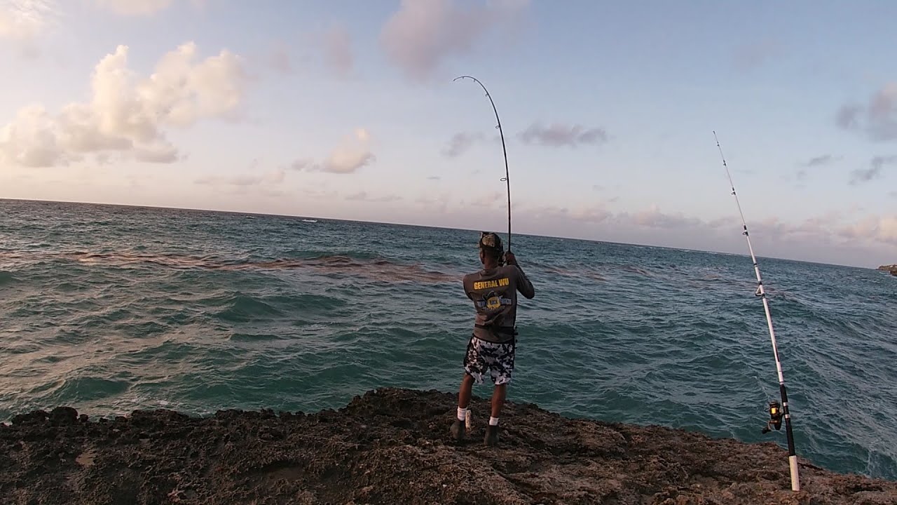 Morning, Noon & Night / Horse-Eye Crevalle & Permit