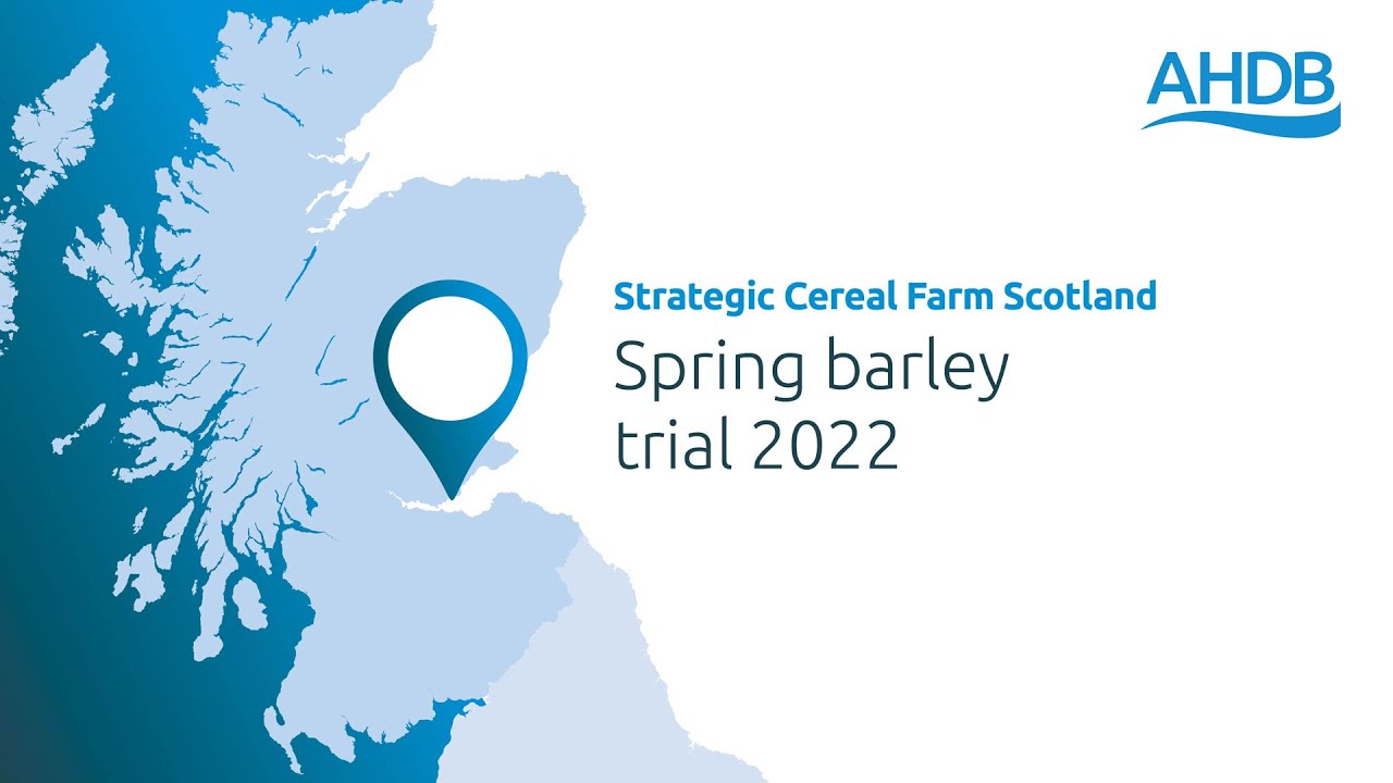 Spring Barley Trial 2022: Strategic Cereal Farm Scotland