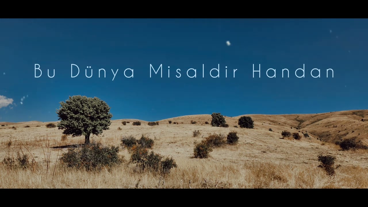 Vedat Bayrak - Bu Dünya Misaldir Handan (Demi Demi)