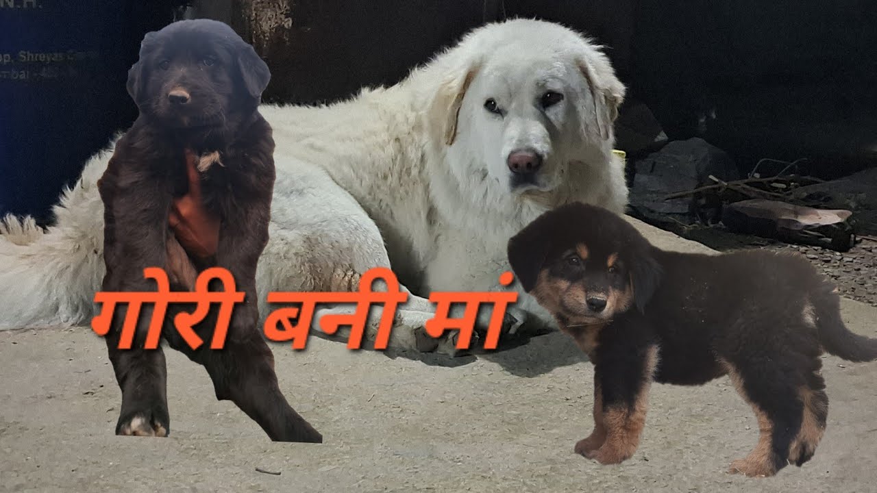 female गोरी बनी मां 