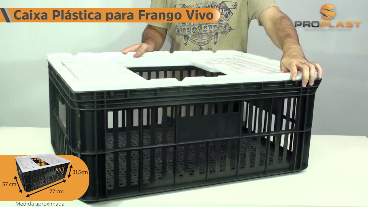 Caixa Plástica para Frango Vivo