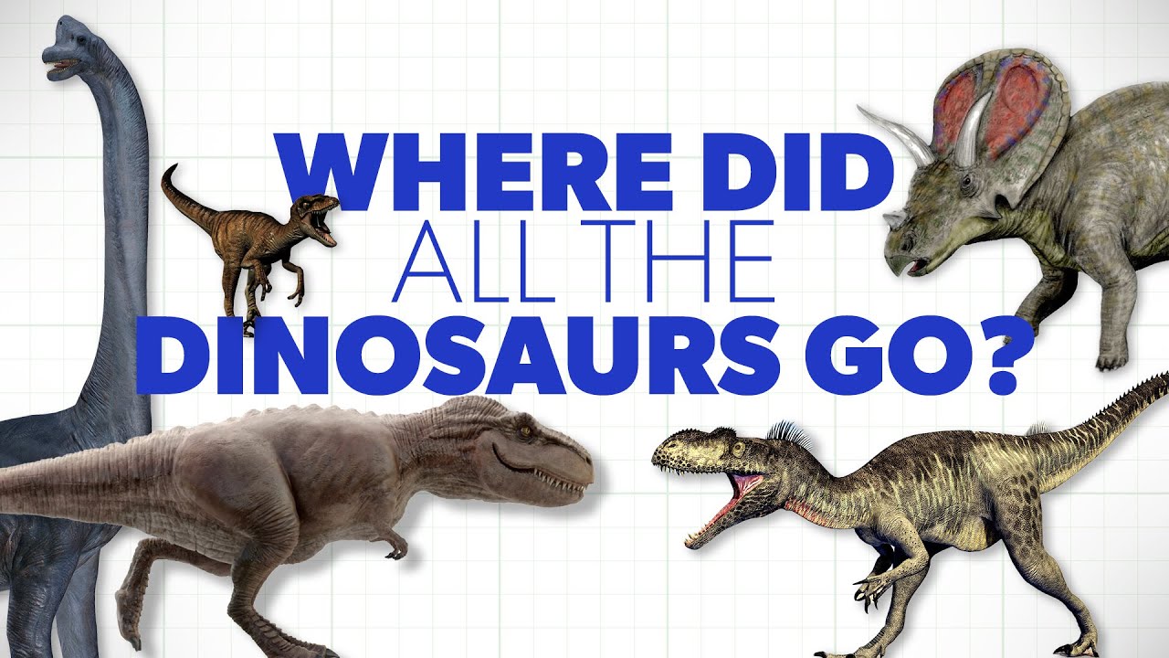 Where Did All the Dinosaurs Go? | Creation Questions