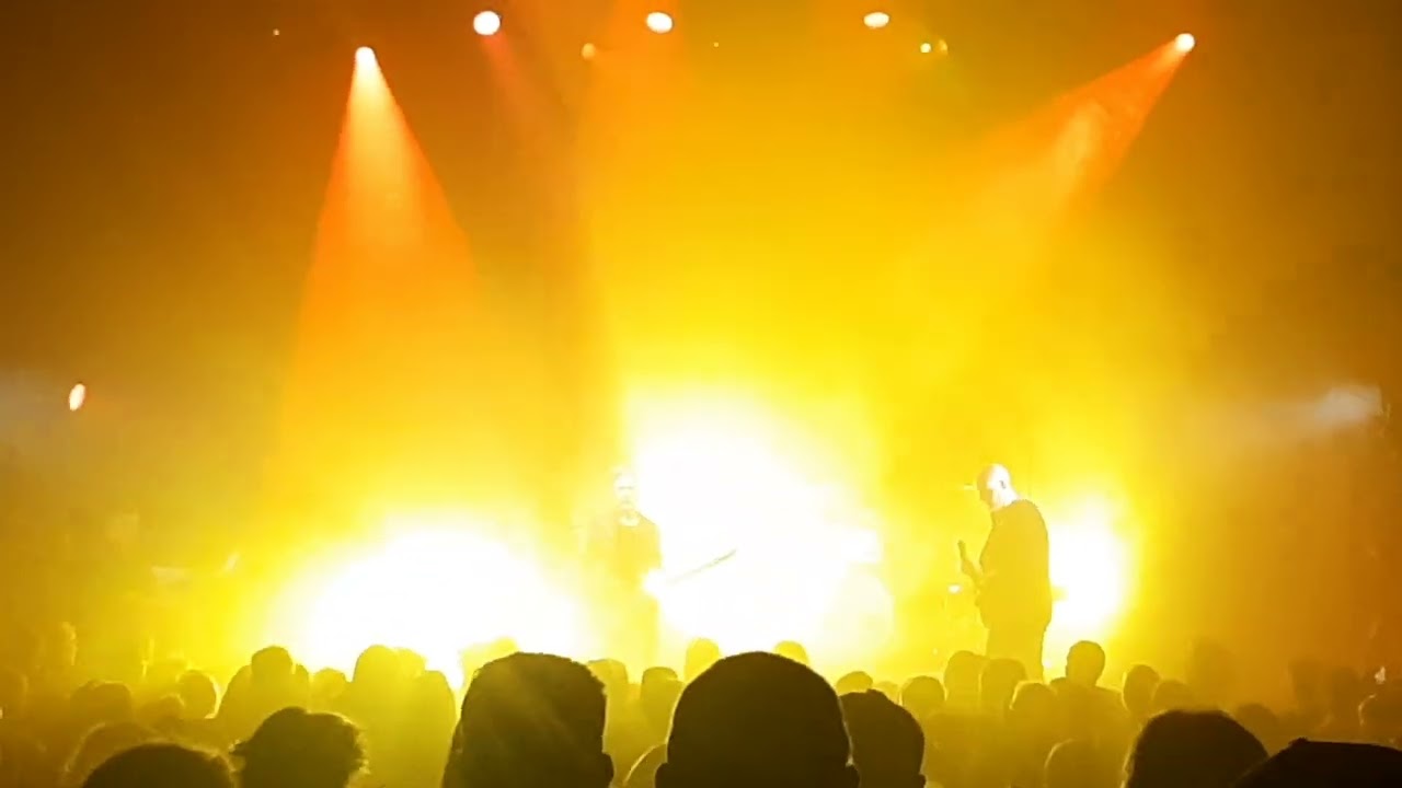 Telling Lies Tribute David Bowie 