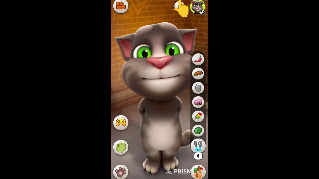 talking tom game