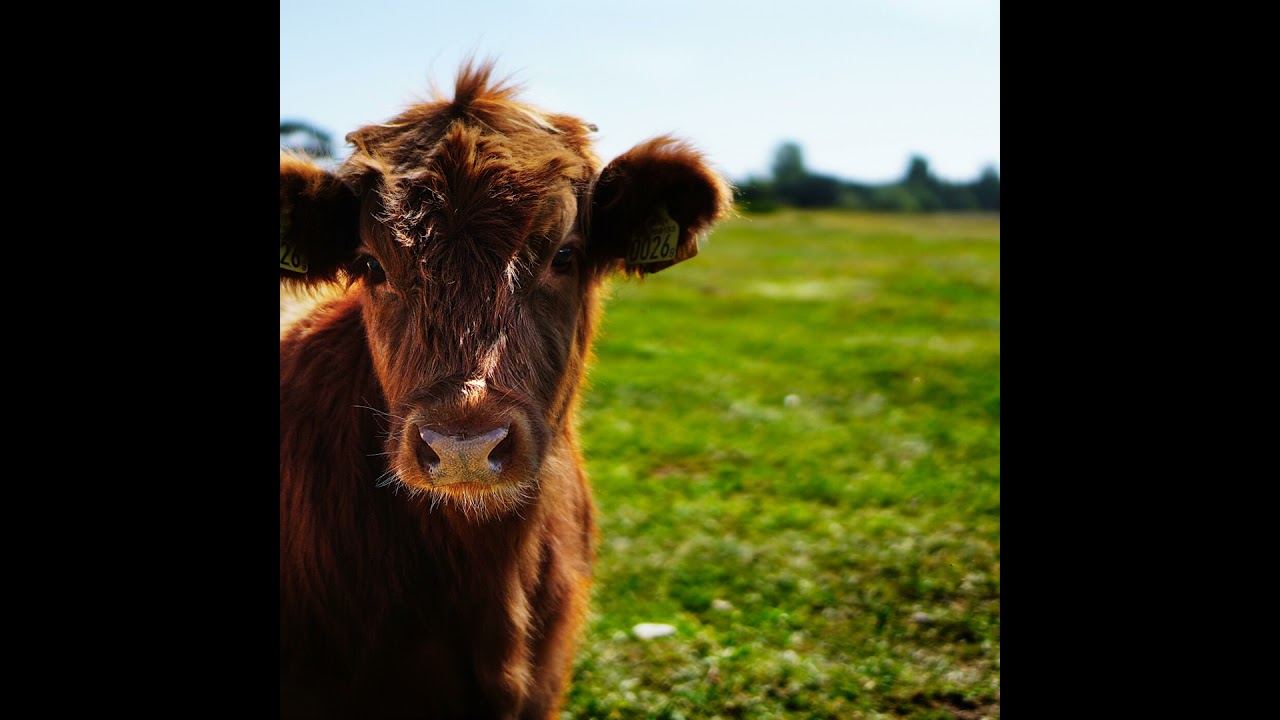 Emission spéciale - L'agriculture en 2040