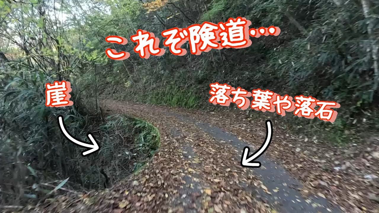 【旧道シリーズ】面白そうと気軽に行った険道…想像以上にやばい道だった！？宮崎険道209号線