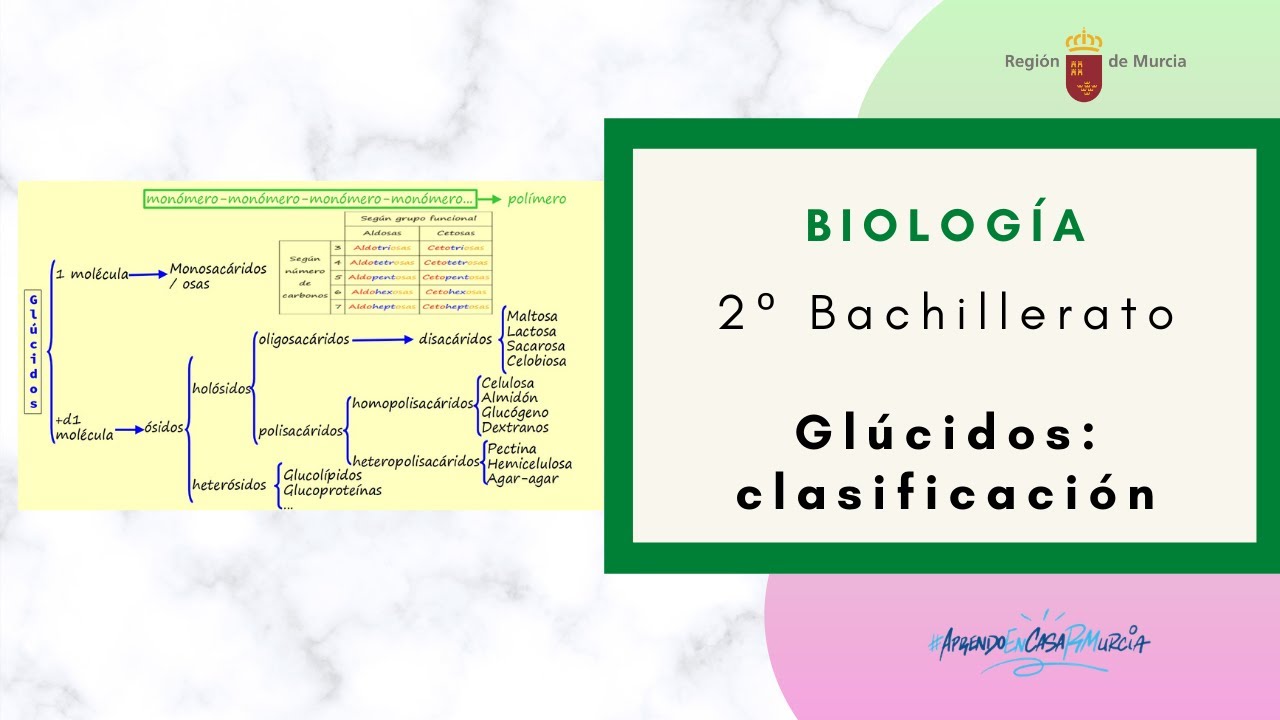 GL&Uacute;CIDOS: CLASIFICACI&Oacute;N
