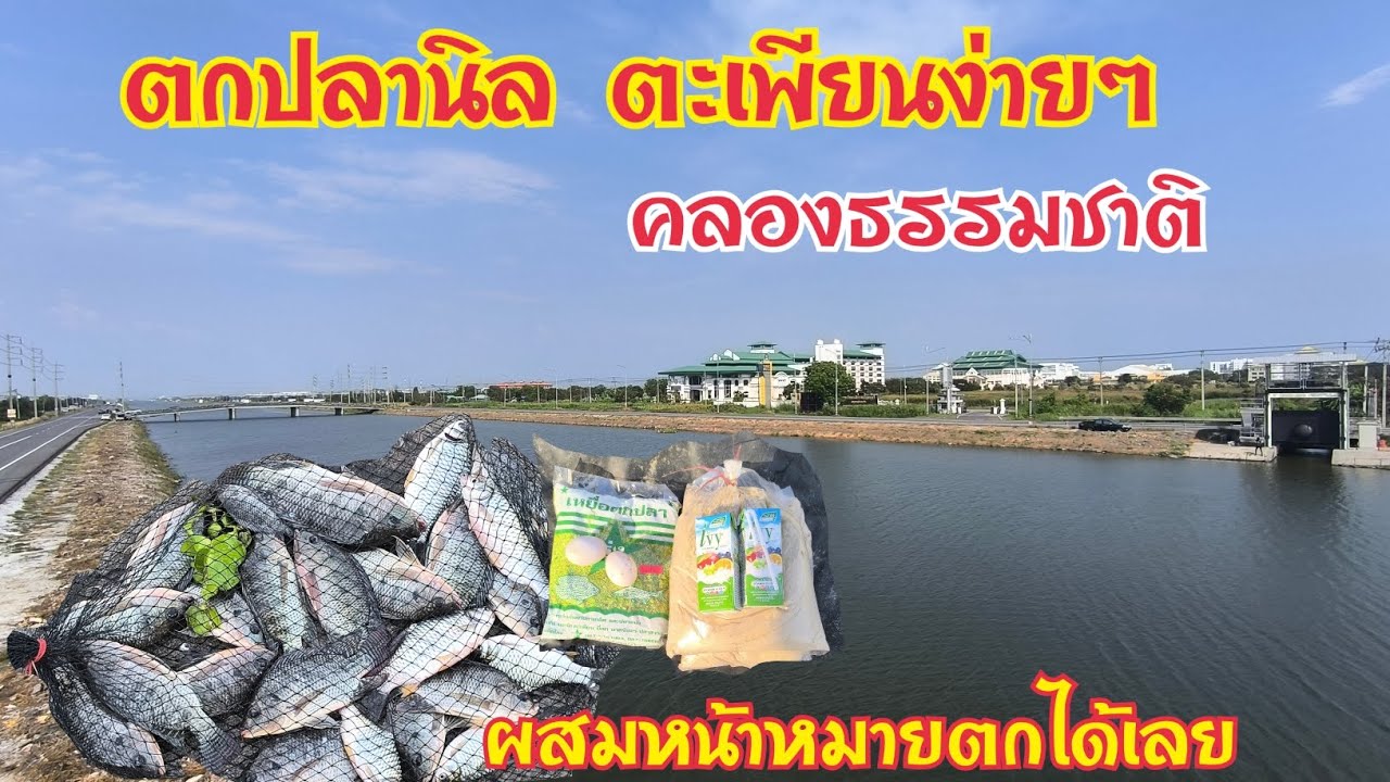 สูตรเหยื่อตกปลานิล⚠️ปลาตะเพียนง่ายๆ⚠️สูตรนมไอวี่รสผลไม้รวม⚠️ ผสมหน้าหมายตกได้เลย🐟🐟