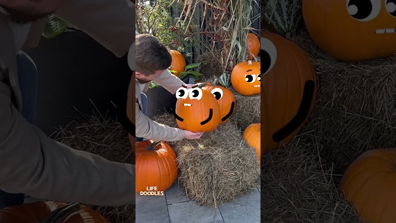 Life Doodles | Pumpkin in hands 😂 #lifedoodles #shorts #animation #cartoon