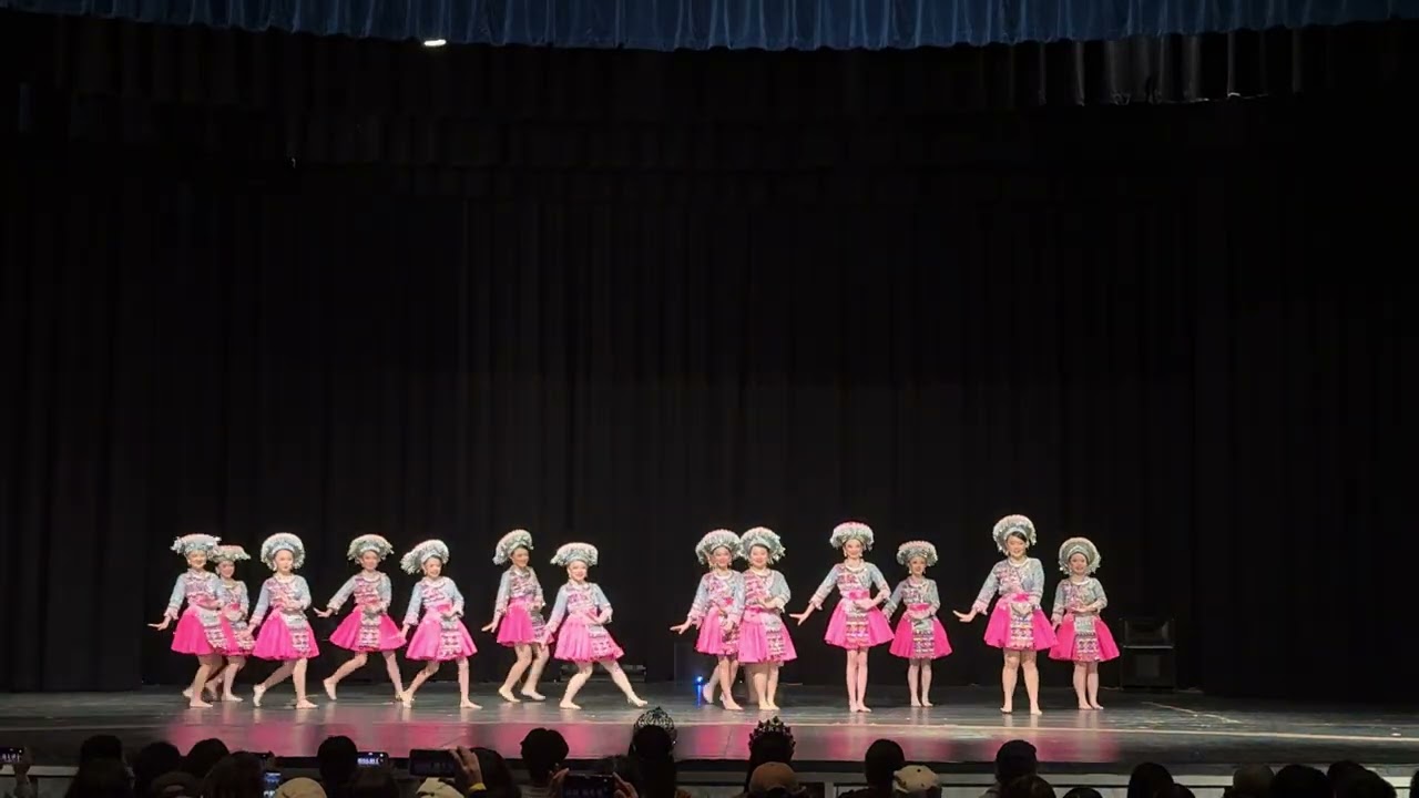 MSDI School Dance - 2025 Recital