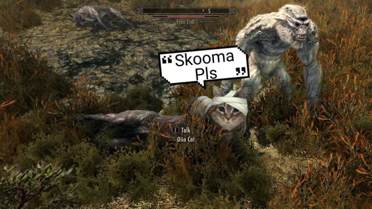 Oiia Spinning Cat - Skyrim Follower Mod Showcase