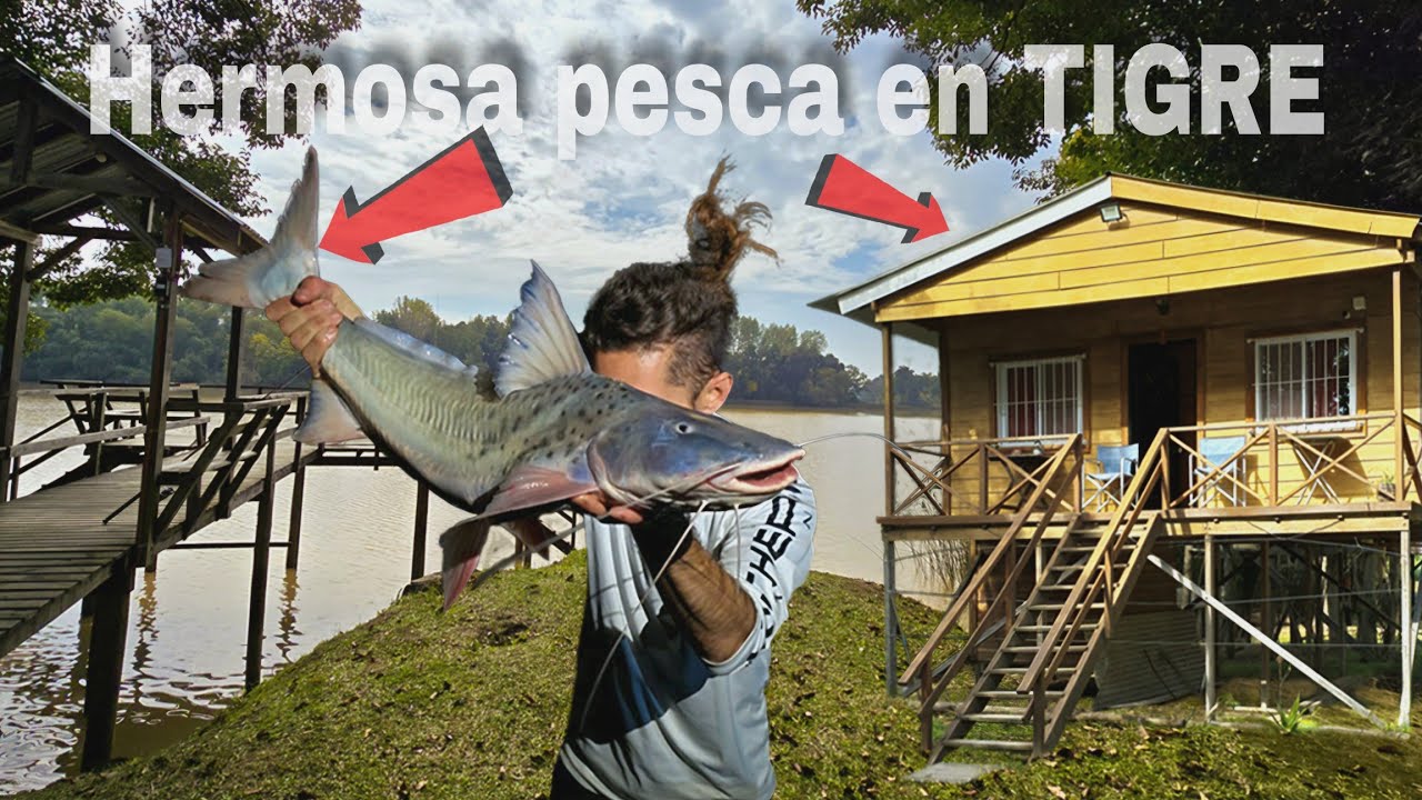 HERMOSA PESCA en TIGRE, TERRIBLE LUGAR SUPER COMPRETO, CABAÑAS PURA VIDA.