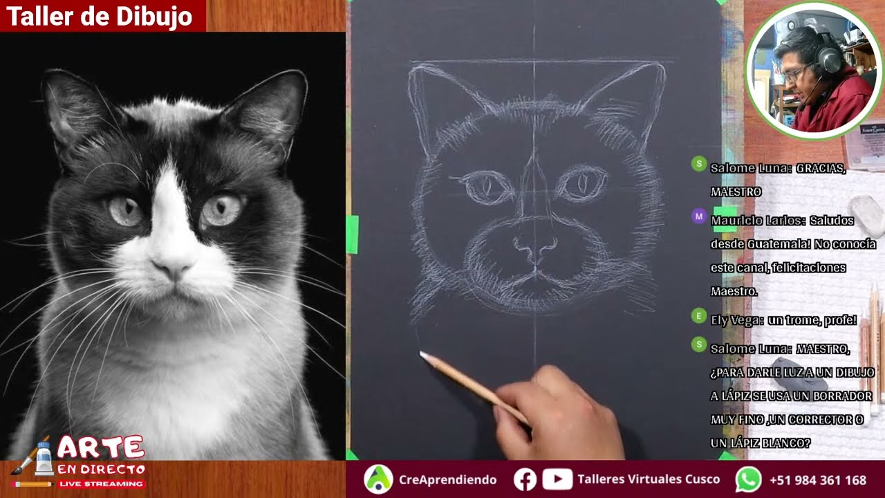 𝑪𝑼𝑹𝑺𝑶 𝑫𝑬 𝑫𝑰𝑩𝑼𝑱𝑶 - Animales - Lápiz blanco sobre cartulina negra.