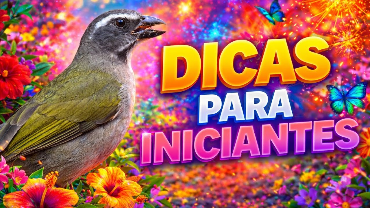 5 ERROS MAIS CONHECIDOS QUE ESTRAGAM O SEU TRINCA-FERRO ‼️#trincaferro #passaros #aves #pets 