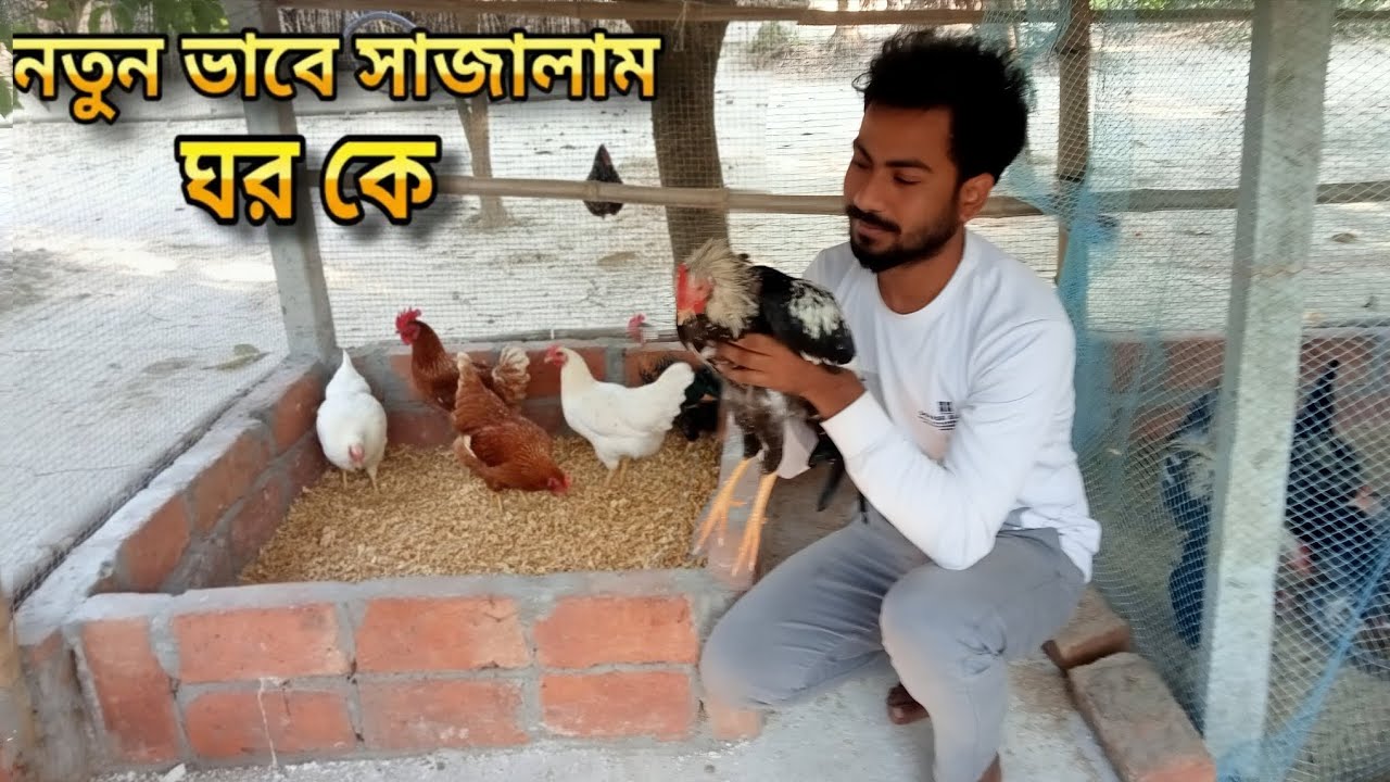 নতুন ভাবে সাজালাম মুরগির ঘর কে || কিভাবে পরিষ্কার করলাম মুরগি এবং কোয়েল এর ঘরকে || The Wild Lover 