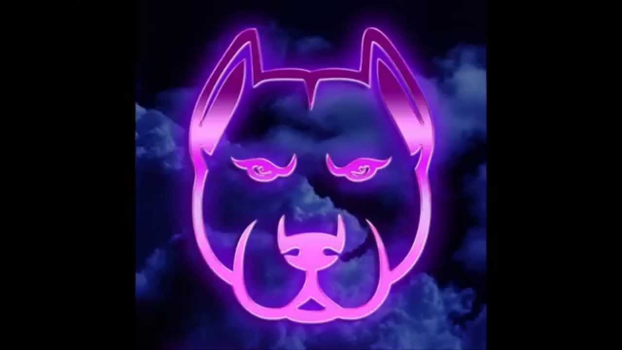 GFOTY & Spinee - Dog Food Mix 2