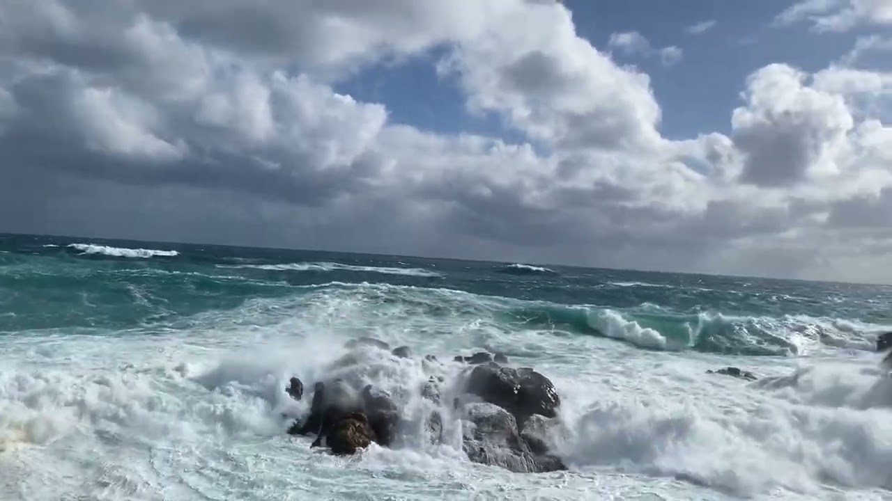 Leeuwin National Park 2307